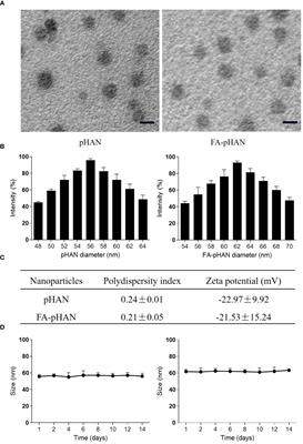 Revealing tumor cells and tissues with high selectivity through folic acid-targeted nanofluorescence probes responsive to acidic microenvironments